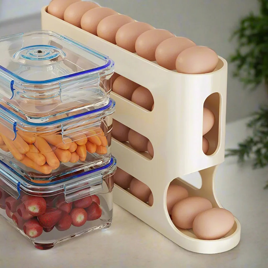 Refrigerator Egg Storage Box