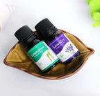 Aromatherapy Humidifier