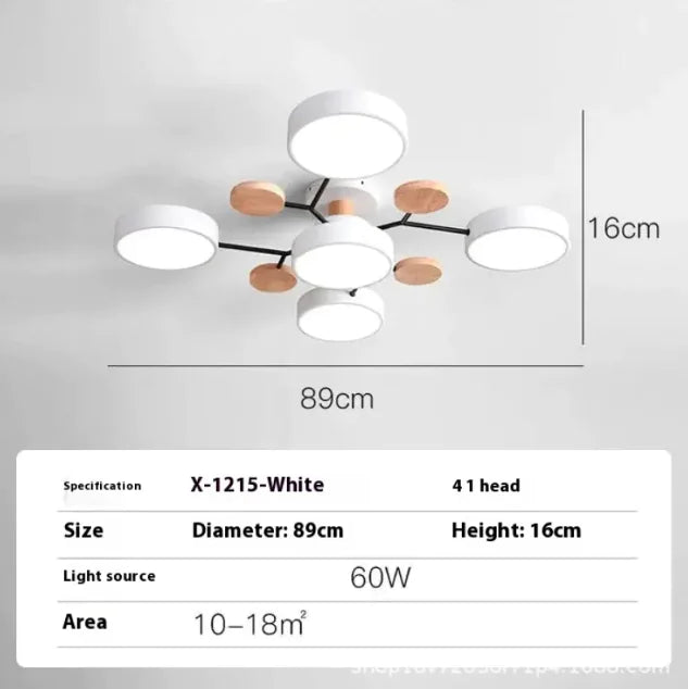 Modern Minimalist Ceiling Lamp – Creative LED Lighting for Living Room