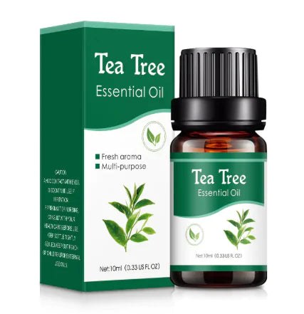 Aromatherapy Humidifier