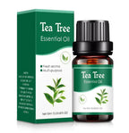 Aromatherapy Humidifier