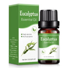 Aromatherapy Humidifier