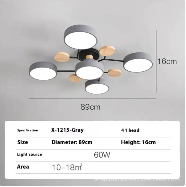 Modern Minimalist Ceiling Lamp – Creative LED Lighting for Living Room