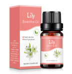 Aromatherapy Humidifier