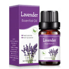 Aromatherapy Humidifier